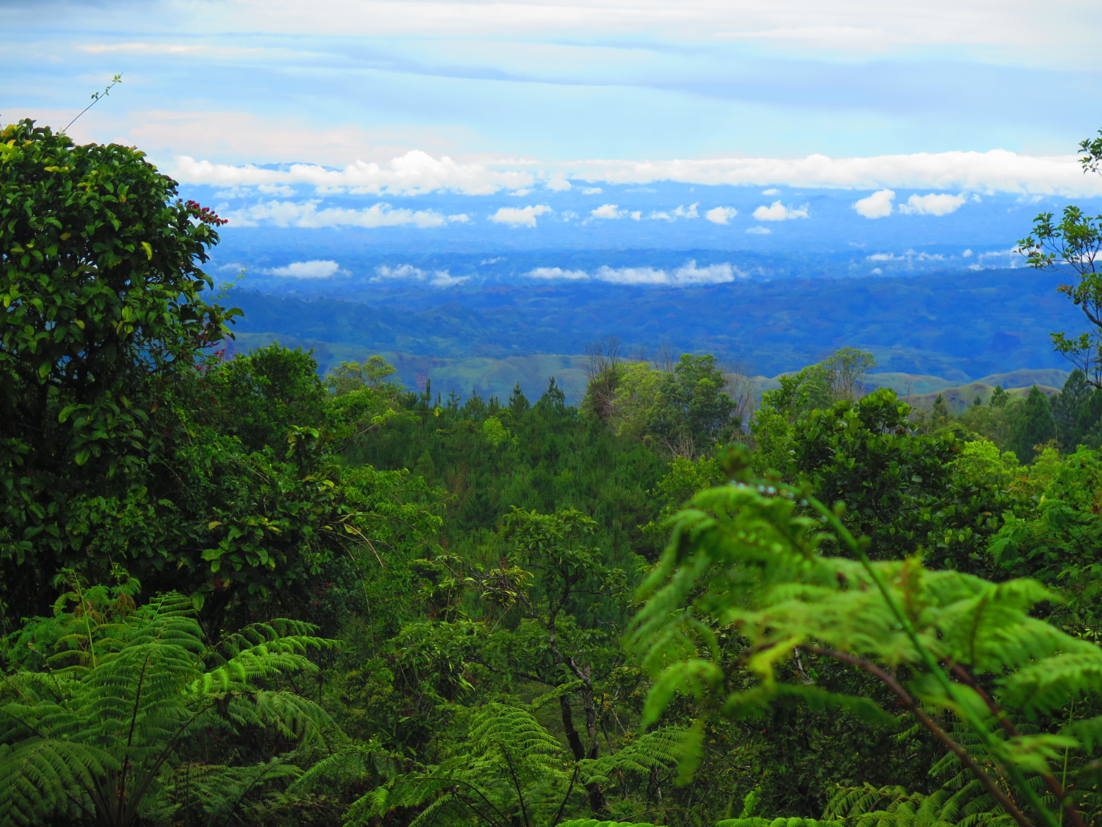 Little Baguio in Mindanao - Bukidnon to Davao Road | BecomingFilipino